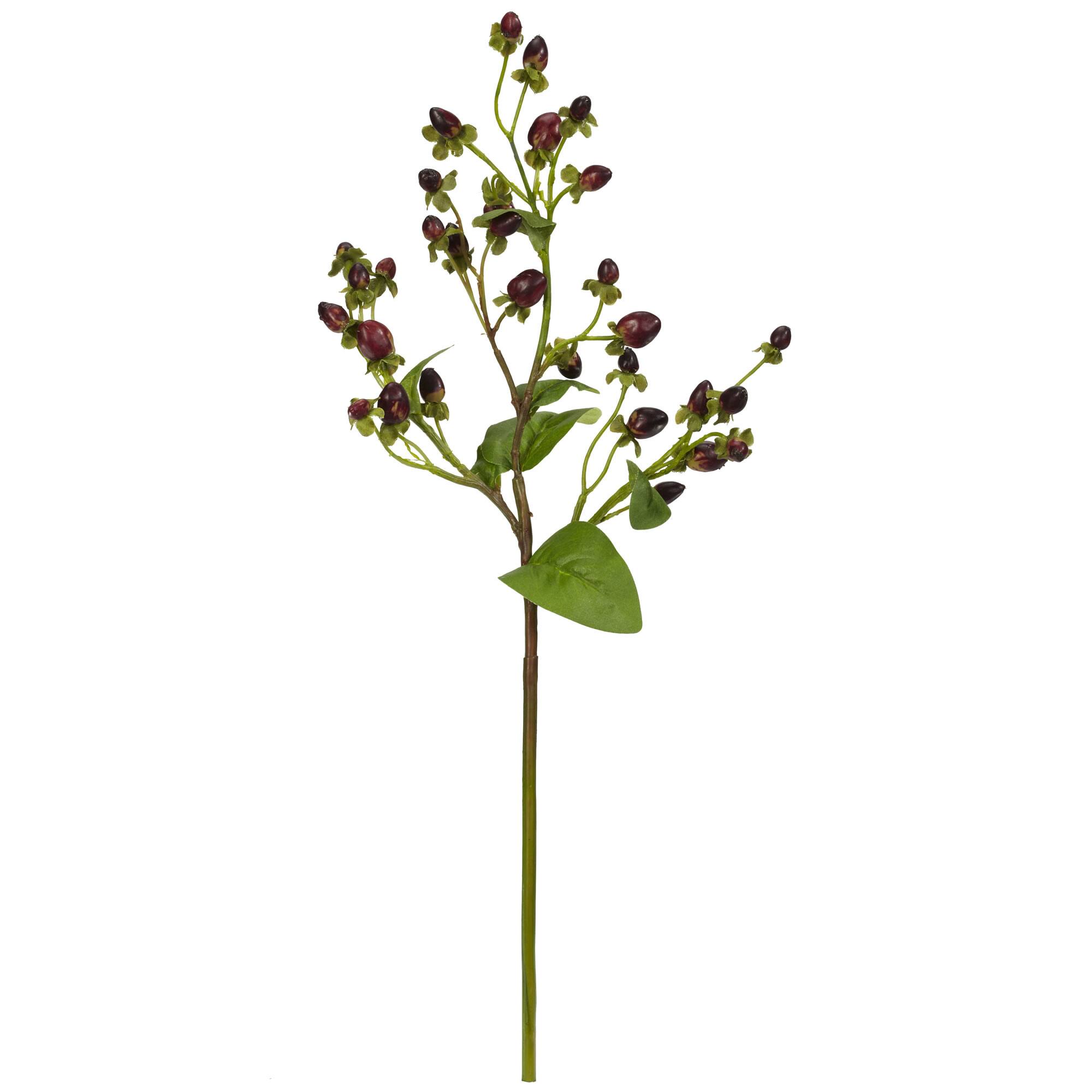 Italian Coffee Bean Spray, 8ct.
